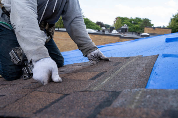 Quick and Trustworthy Emergency Roof Repair Services in Eleele, HI