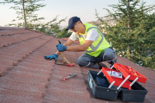 Best Storm Damage Roof Repair  in Eleele, HI